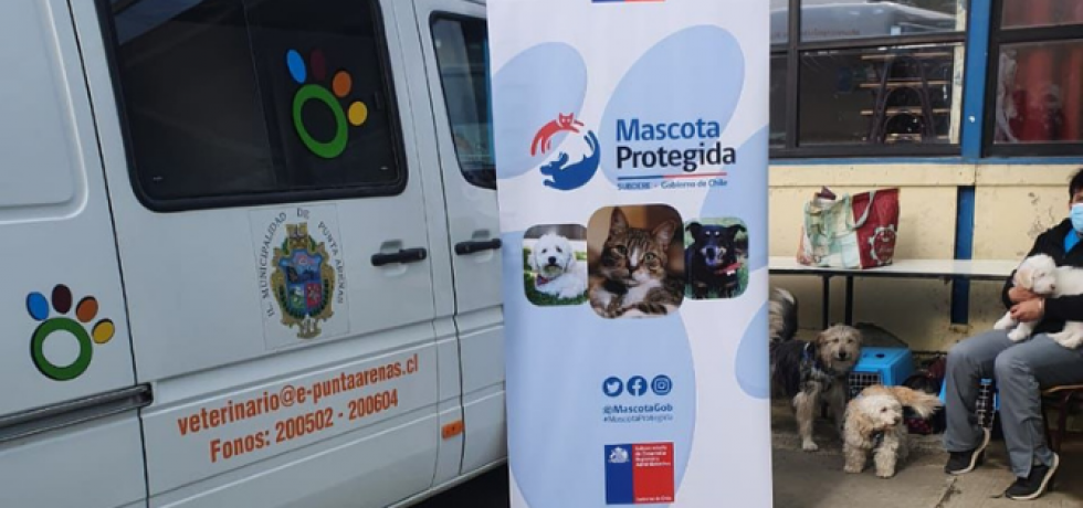 Mascota Protegida participa de primera ExpoMascotas en Punta Arenas