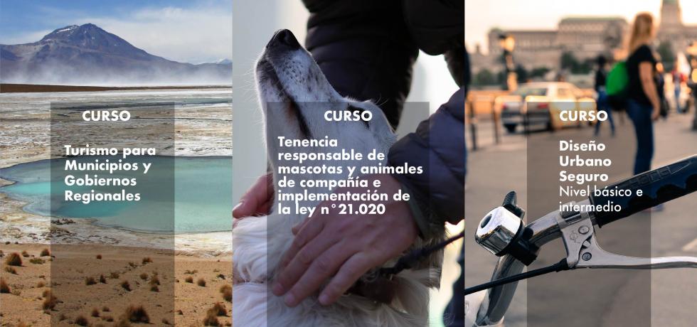 Subdere abre convocatoria para cursos de diseño urbano, turismo local y tenencia responsable de mascotas Subdere abre convocatoria para cursos de diseño urbano, turismo local y tenencia responsable de mascotas