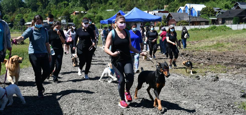 20 canes fueron protagonistas en la carrera Aperra con tu Mascota 2021 en Panguipulli